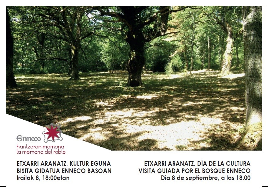 Bisita gidatua Enneco basoan 