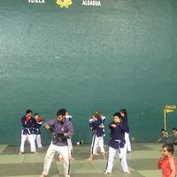 Yoseikanbudo erakustaldia