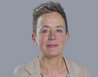 Pozueta Nafarroako Mahai Politikoko kide izendatuta