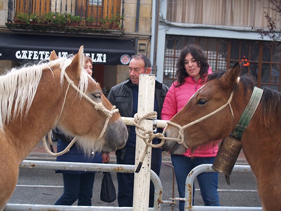 Feriak, azienda eta gehiago