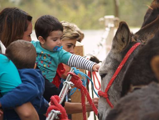 Feria egunak 