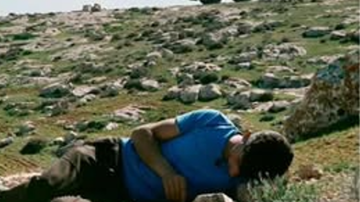 'No other land' dokumentalaren emanaldia, Palestina Ziklo Dokumentalaren barruan