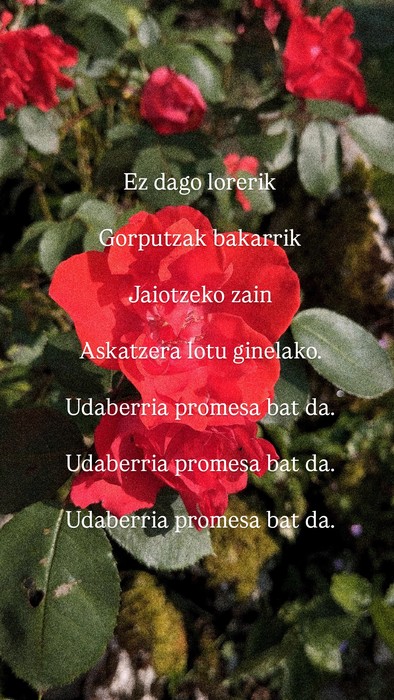 Libre izateko