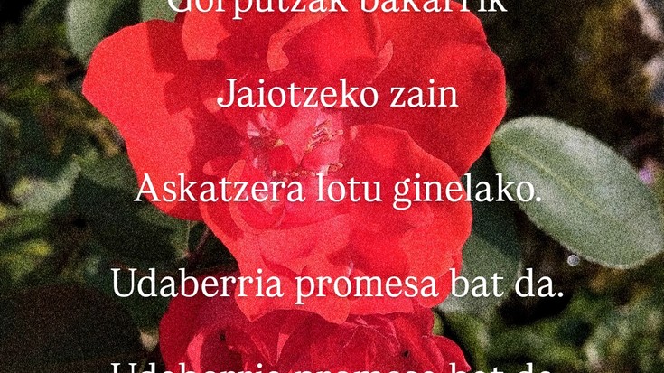 Libre izateko