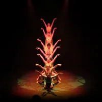 Dantzari  profesionalekin  dantzan