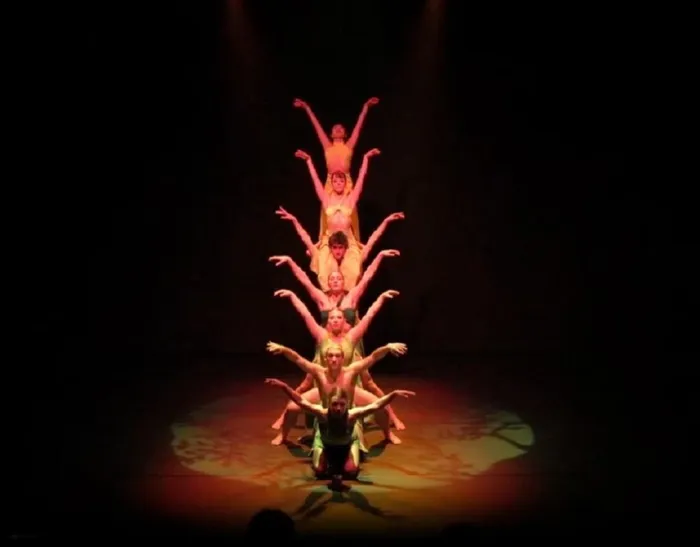 Dantzari  profesionalekin  dantzan