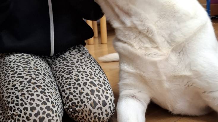 Irakurkide egitasmoa martxa onean, Eva Azpilikueta FETEN jaialdian, Beatriz de la Vegaren aurkezpenak eta Olaztiko liburutegia itxita