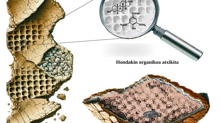Historiaurreko bizimodua berreraikitzen
