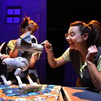 Txotxongilo ikuskizuna, Altsasun