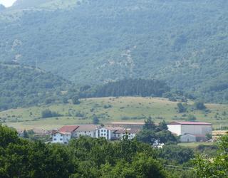 Etxarrengo Kontzejuaren baso aprobetxamendua salgai