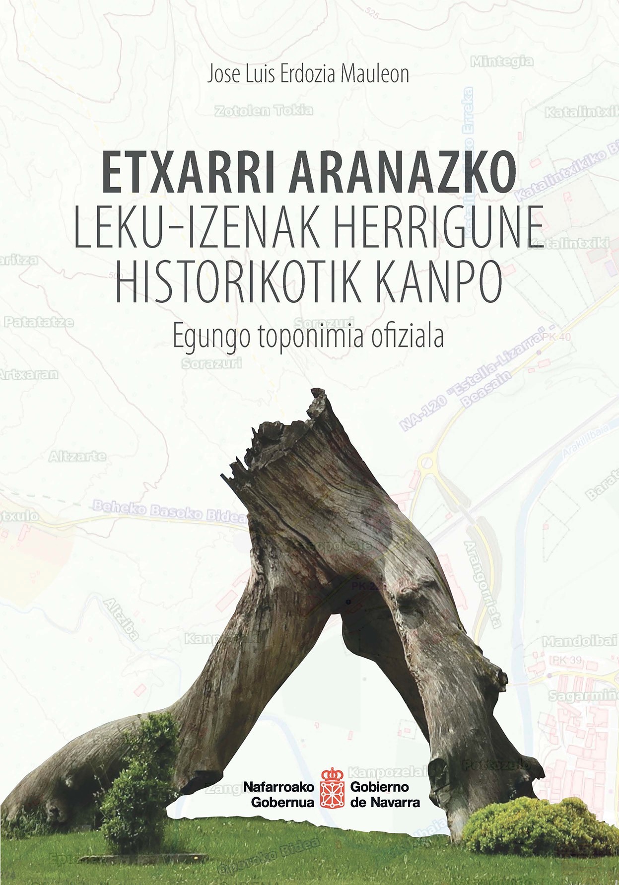 Toki-izenak jasotzen dituen liburuaren aurkezpena
